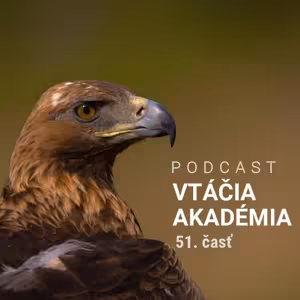 Druhá časť rozprávania o orloch