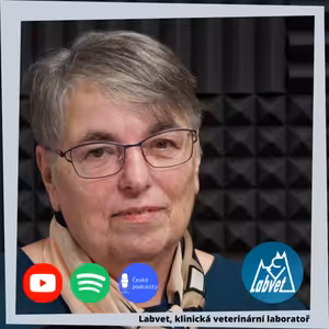 Otazníky kolem psího chrupu