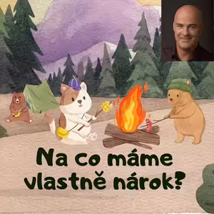 Na co máme vlastně nárok?
