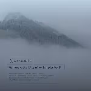Various Artists - Axaminer Sampler vol.5