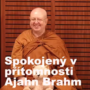 Jak být spokojený v přítomnosti 🧘| Ajahn Brahm | 16.6.2020 | Buddhistická spiritualita