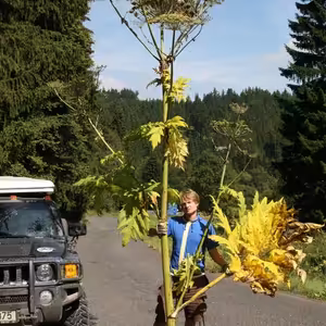 Bolševník nepřivezl do Čech bolševik ale Metternich