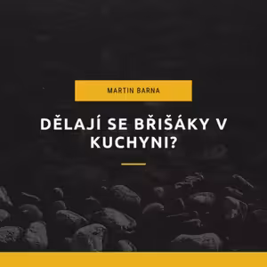 Podcast - Dělají se břišáky v kuchyni?