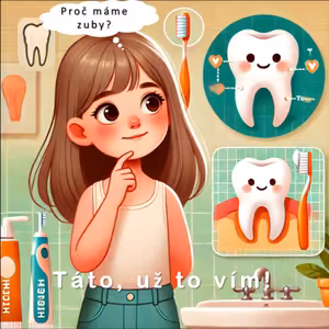 proč máme zuby