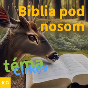 Biblia pod nosom - Cirkev