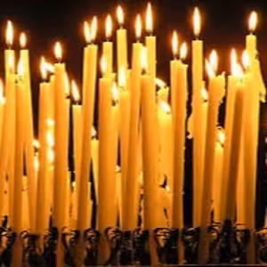 DENKO (november 2016) #1