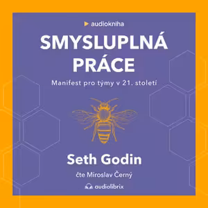 Smysluplná práce (Seth Godin)