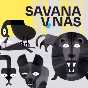 Bublina 37 - Savana v nás