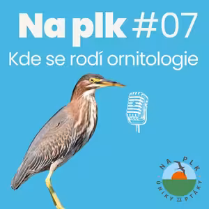 Na plk #07: Kde se rodí ornitologie
