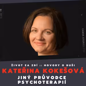 JINÝ PRŮVODCE PSYCHOTERAPIÍ - KATEŘINA KOKEŠOVÁ