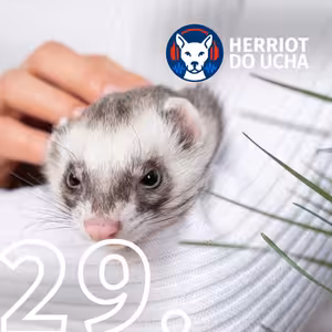#29 Pořízení fretky - vše co musíte vědět - MVDr. Vladimír Jekl, Ph.D.