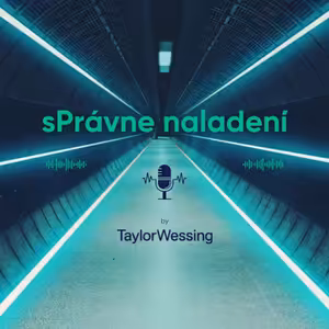 Plagiátori na najvyšších miestach