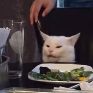 Duolingo, YouTube, podcasty, škola a... MEMY! aneb Jak se naučit jazyky?