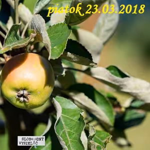 Riešenia a alternatívy 62 - 2018-03-23 "Založenie prírodnej záhrady - praktické rady"