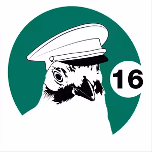 VOSTO5: Kupé V lese na střeše 2 - Elbel, Kartous