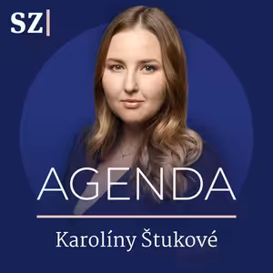 EU zjednodušila firmám život. Ale má to háček, vysvětluje expert