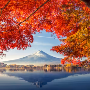 Dopoludnie na Infovojne s Adrianom 4.10.2024