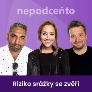 Riziko srážky se zvěří