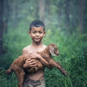 Zvykové rostlinné veterinární léčivé přípravky - Prof. JUDr. Ivo Telec, CSc.