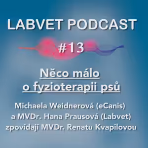 Něco málo o fyzioterapii psů