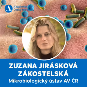 Kožní mikrobiom a imunita v době covid-19