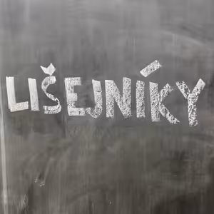 Lišejníky - do čtveřice všeho houbového