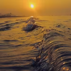 Jedenáct nejteplejších let na Zemi. Zpráva OSN ukazuje, jak lidé vychýlili planetu z rovnováhy