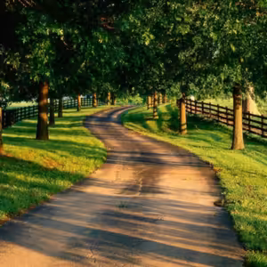 Dopoludnie na Infovojne s Adrianom 20.6.2024