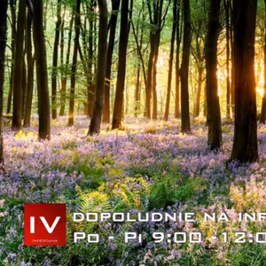 Dopoludnie na Infovojne s Adrianom 14.4.2022