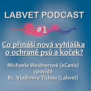 Co přináší nová vyhláška o ochraně psů a koček?