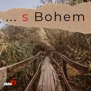 . s Bohem: Lucie