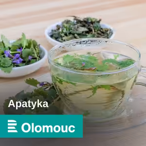 Když to bolí, a nic moc jiného nepomáhá – chronická bolest a neurostimulace