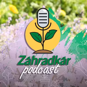 Ako ušetriť pri zakladaní záhrady? "Najdrahšie" chyby a ako sa im vyhnúť