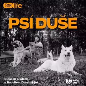 Tvrdé metody nebo záchrana? Pravda o práci Rudolfa Desenského s agresivními psy