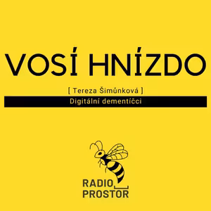 Vosí hnízdo s Terezou Šimůnkovou: Digitální dementíčci