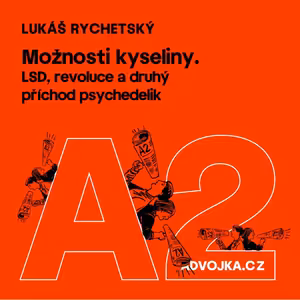 Lukáš Rychetský: Možnosti kyseliny