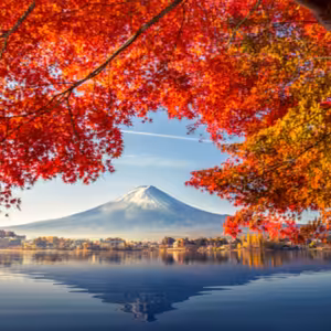 Dopoludnie na Infovojne s Adrianom 14.11.2024