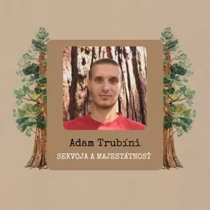 Adam Trubíni: Sekvoja a majestátnosť