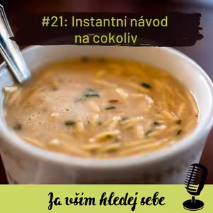 #21 Instantní návod na cokoliv