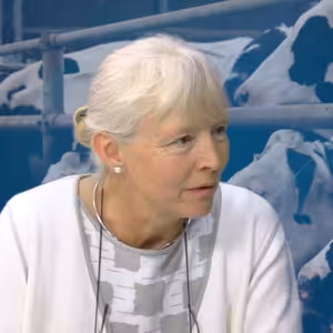 Inovativní řešení při silážování