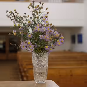 Bohoslužby do ucha na neděli 18. října