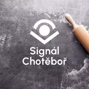 Základní surovina (4)