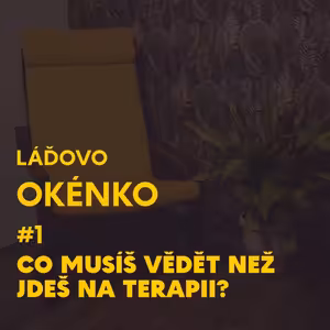 Co musíš vědět než jdeš na terapii? Láďovo okénko