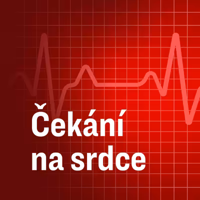 Čekání na srdce