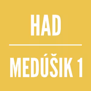 MEDÚŠIK 1 | HAD