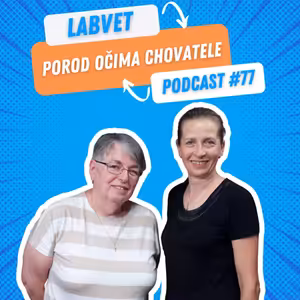 🐾 POROD očima chovatele 🐾 | Labvet Podcast #77