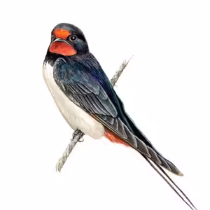 Díl první: Září, měsíc chlupů