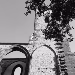 Markéta Dudziková: Sázavský klášter