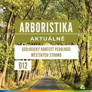 Geologický kontext pedologie městských stromů - Arboristika aktuálně #012