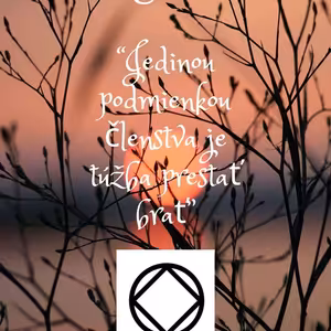 Jedinou podmienkou členstva je túžba prestať brať. Sarah H. (Anglicko)